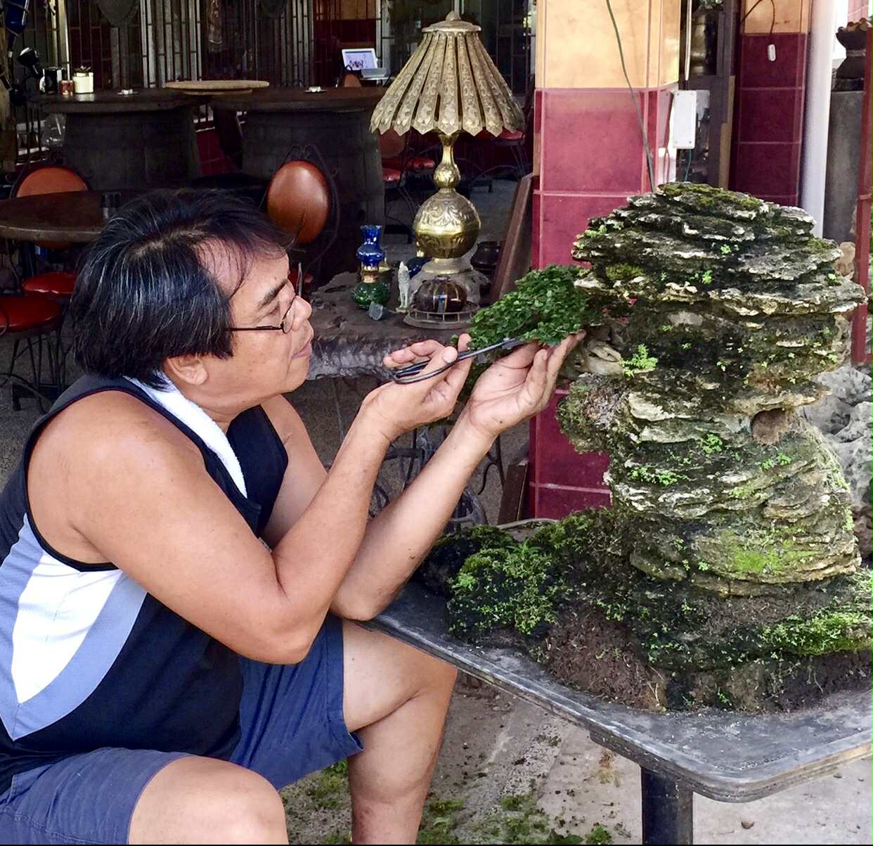 Bong De Luna Bonsai Artist