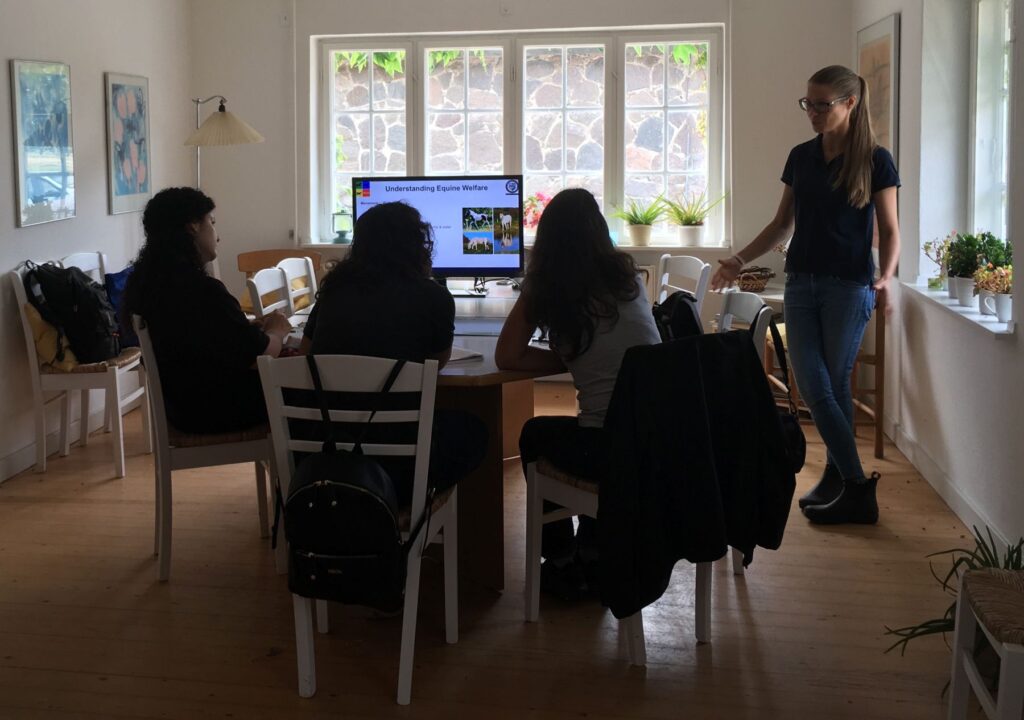 Tilde Conducts one to one and group Courses