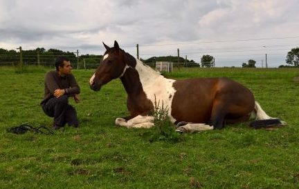 Picture of Roberto training a horse